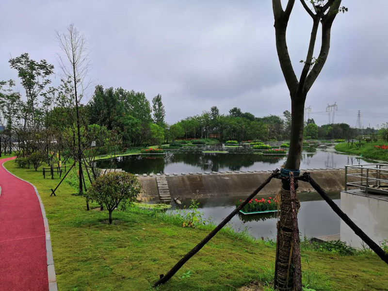 王建沟-2.jpg